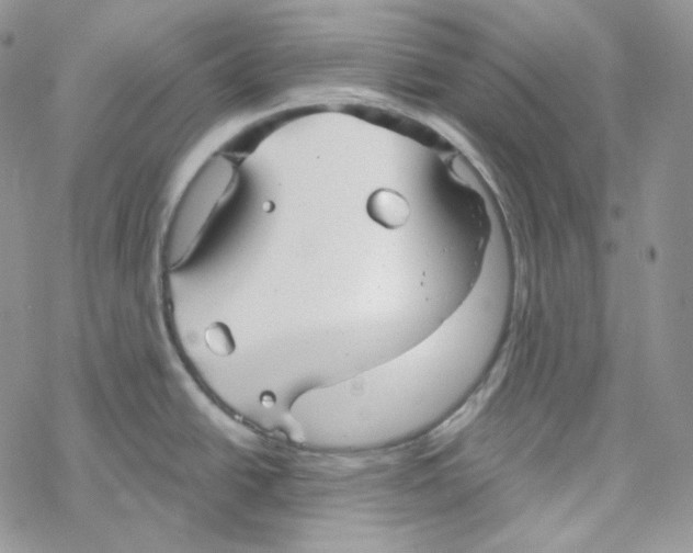 X0000069361438200606091550