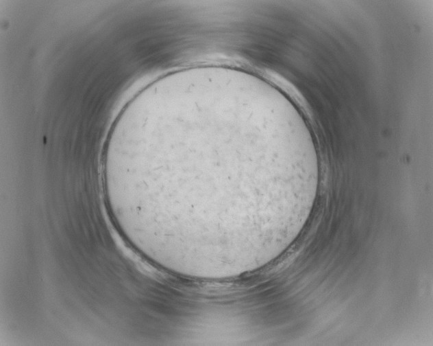 X0000069361439200606091550