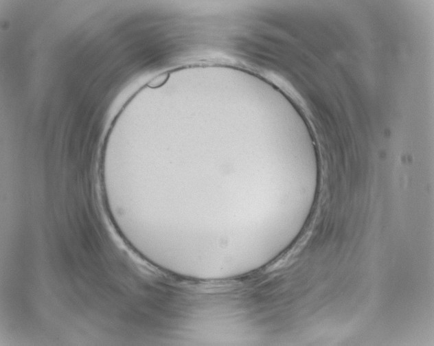 X0000069361440200606091550