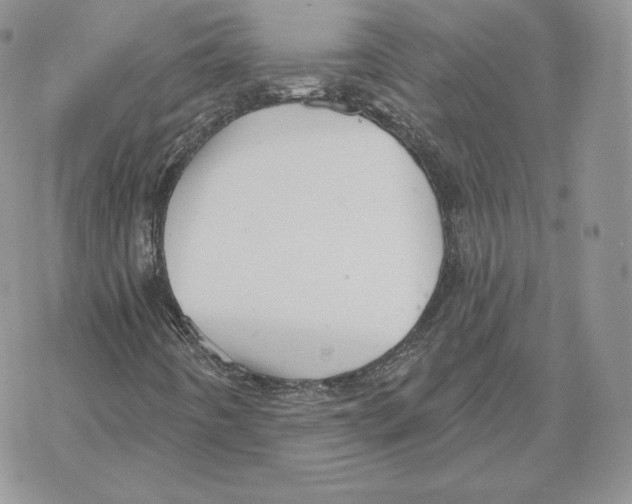 X0000069361442200606091549