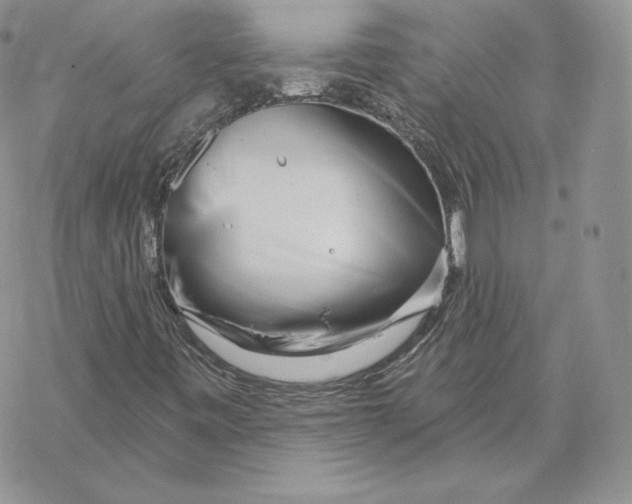 X0000069361443200606091549