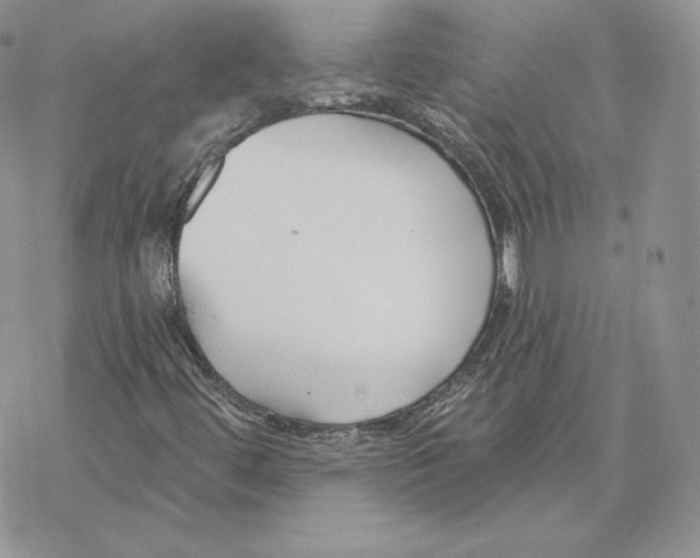 X0000069361444200606091549