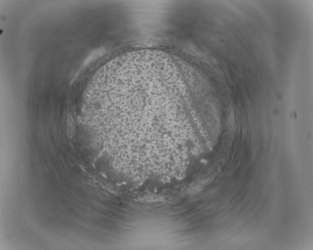 X0000069361446200606091549