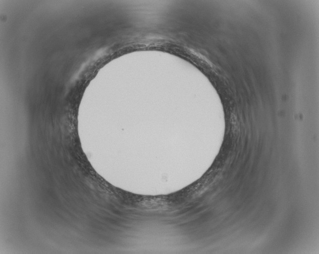 X0000069361447200606091549