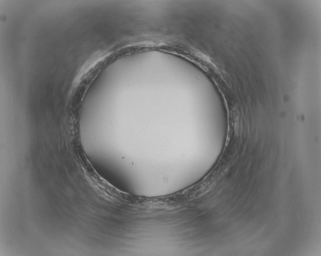 X0000069361448200606091549