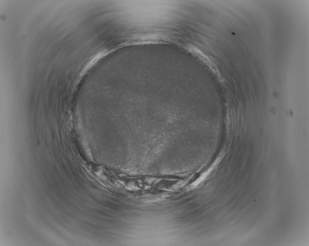 X0000069361449200606091549