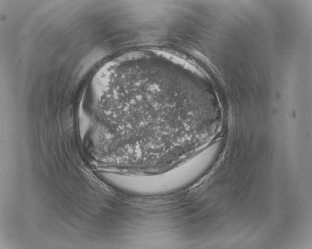 X0000069361450200606091549