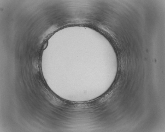 X0000069361451200606091549