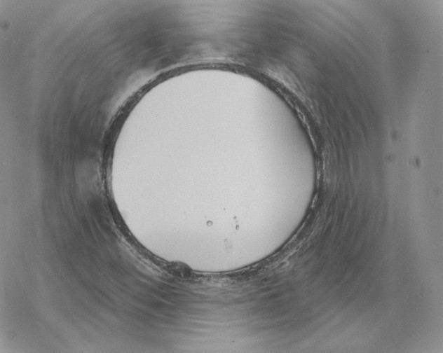 X0000069361452200606091549