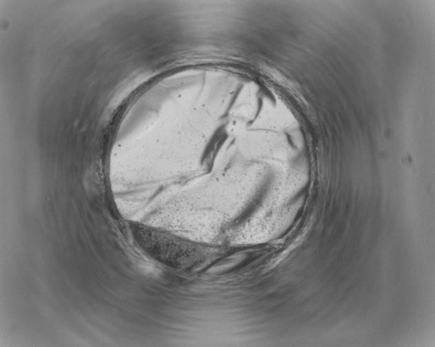 X0000069361453200606091549