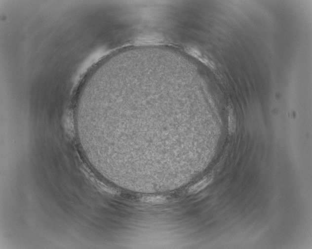 X0000069361454200606091549