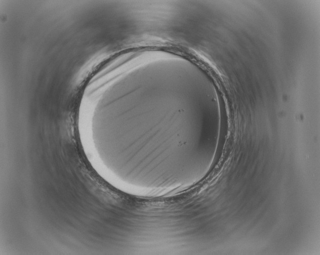 X0000069361455200606091549