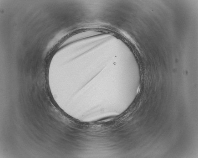 X0000069361456200606091549