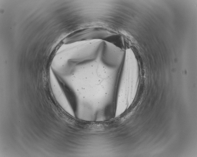 X0000069361457200606091549