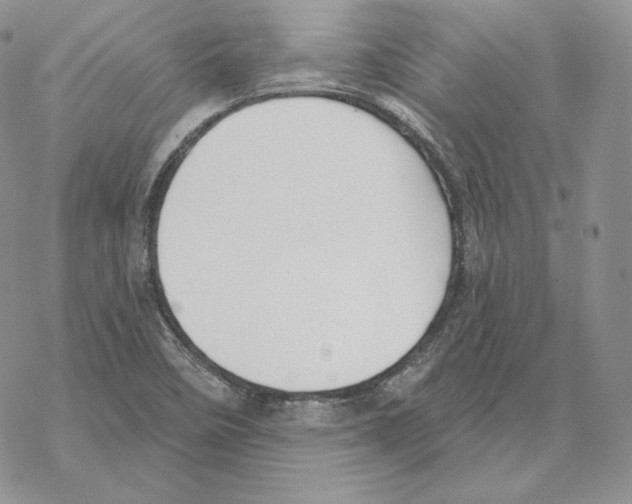 X0000069361458200606091549