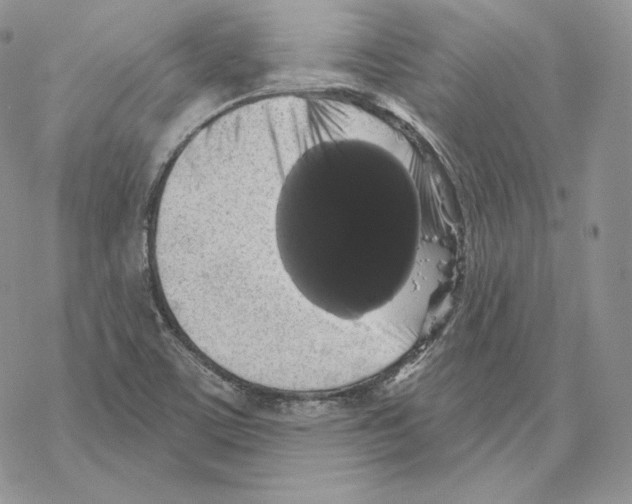 X0000069361459200606091549