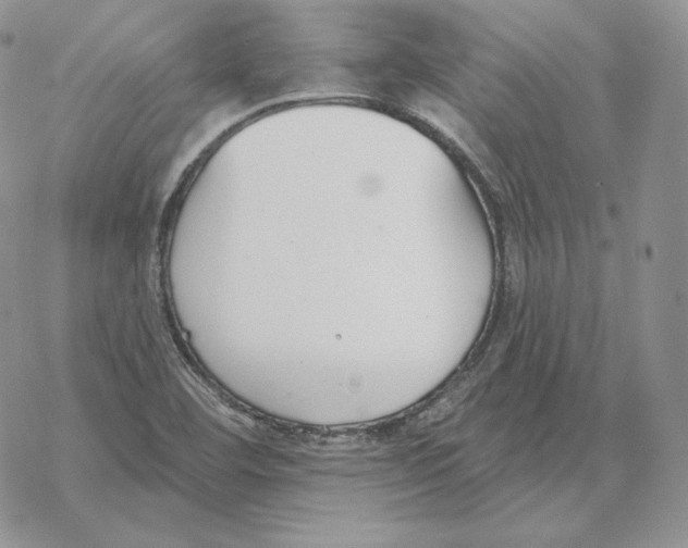 X0000069361460200606091549