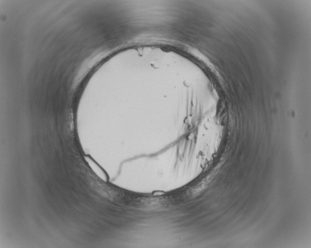 X0000069361461200606091549