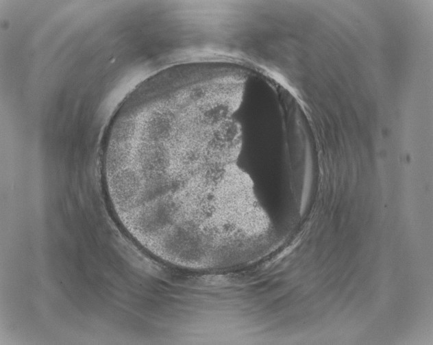 X0000069361463200606091549