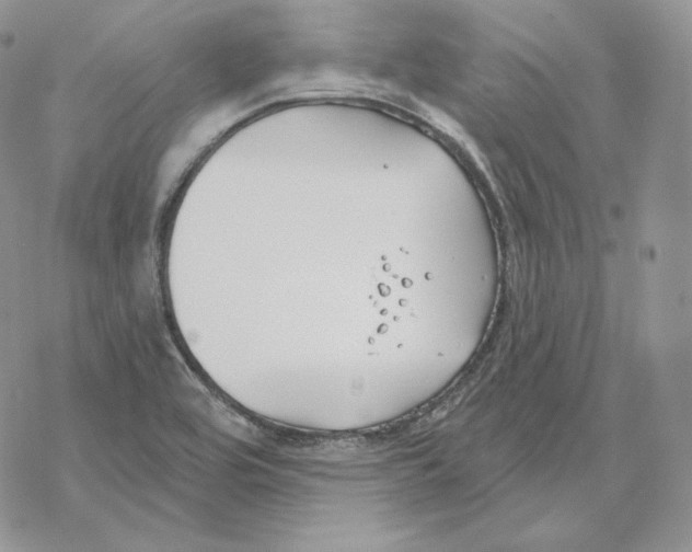 X0000069361464200606091549