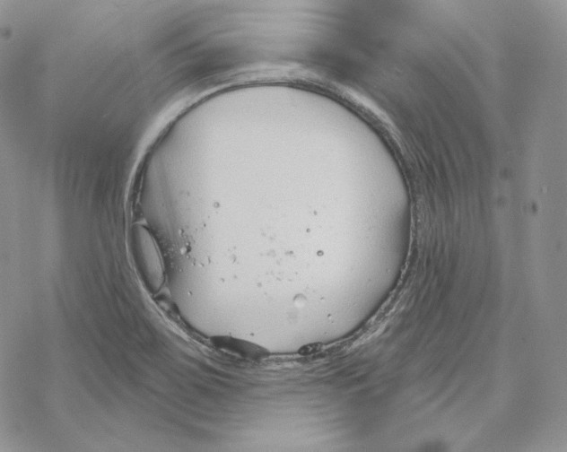 X0000069361467200606091549