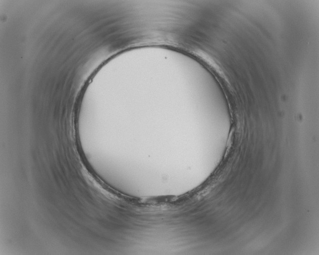 X0000069361468200606091549