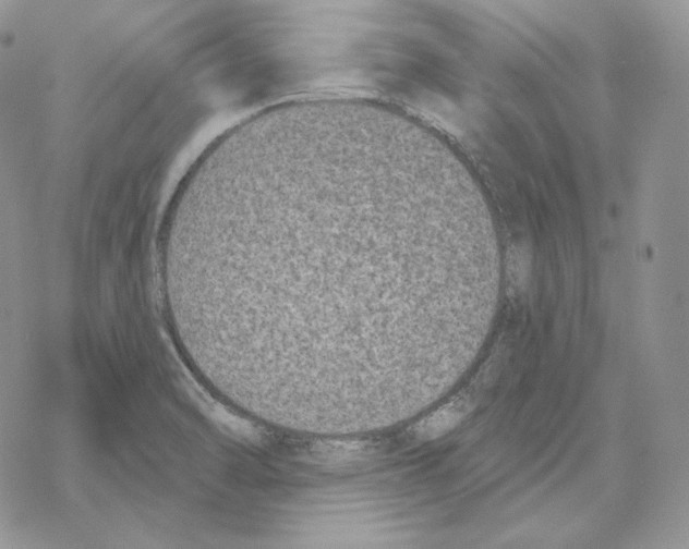 X0000069361470200606091549