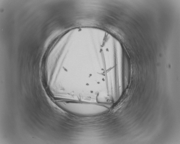 X0000069361471200606091549