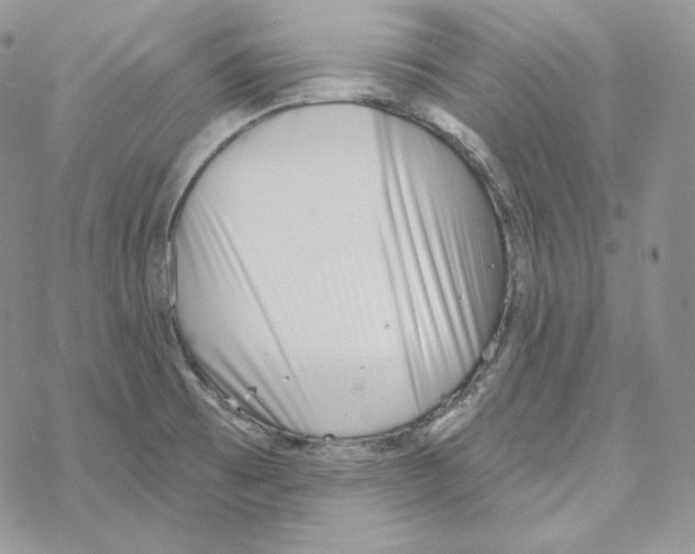 X0000069361473200606091549