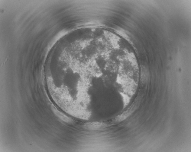 X0000069361474200606091549