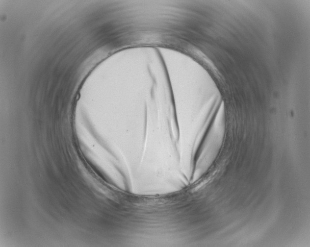 X0000069361475200606091549