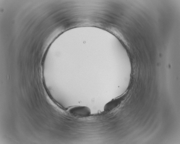 X0000069361476200606091549