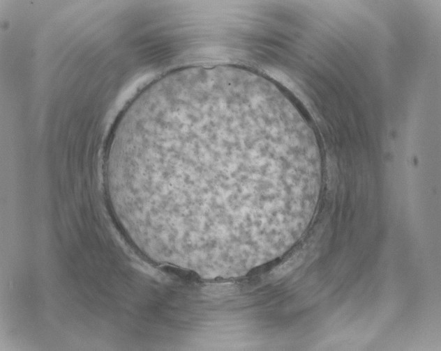 X0000069361477200606091549