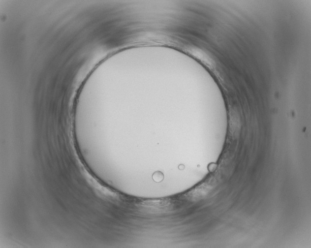 X0000069361478200606091549