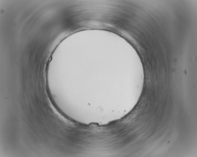 X0000069361479200606091549