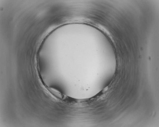 X0000069361480200606091548