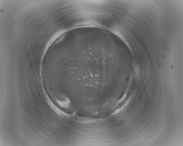 X0000069361482200606091548