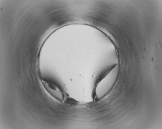 X0000069361484200606091548