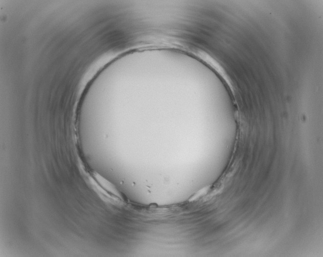 X0000069361485200606091548