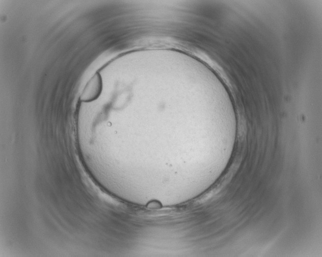 X0000069361486200606091548