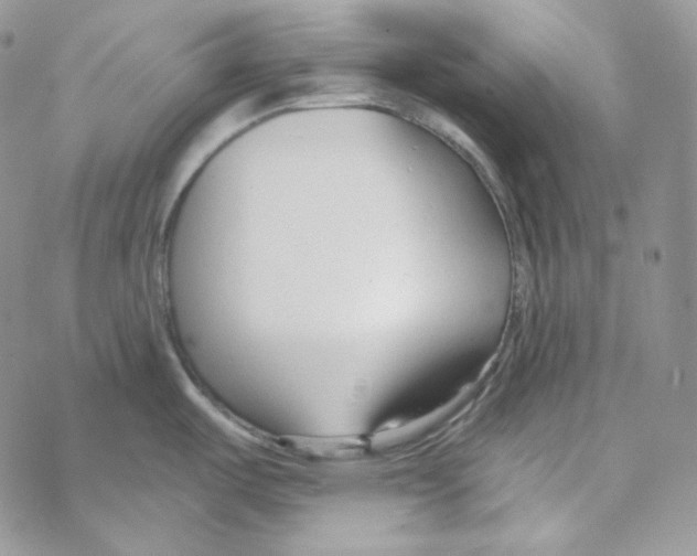 X0000069361487200606091548