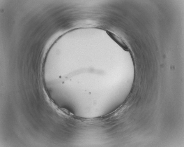 X0000069361488200606091548