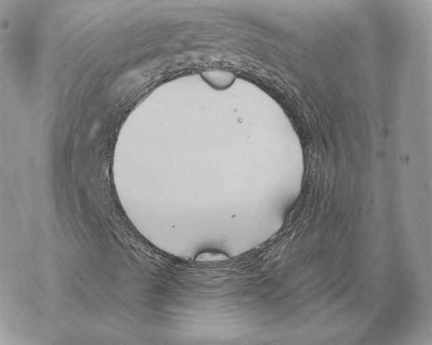 X0000069361489200606091548