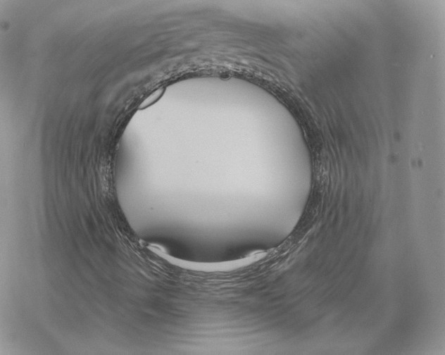 X0000069361490200606091548