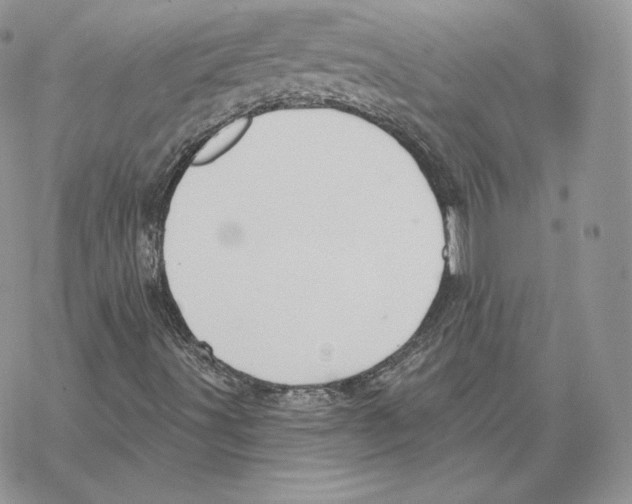 X0000069361491200606091548