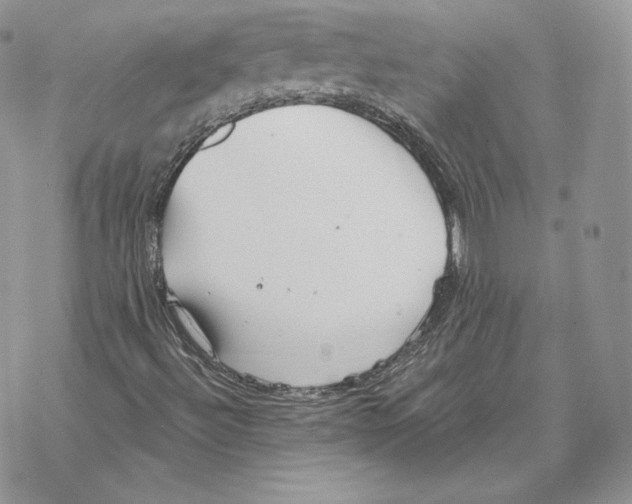 X0000069361492200606091548