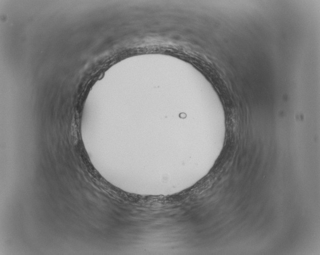 X0000069361493200606091548