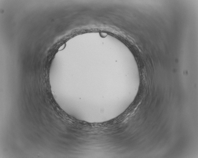 X0000069361494200606091548