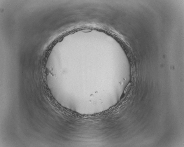 X0000069361496200606091548