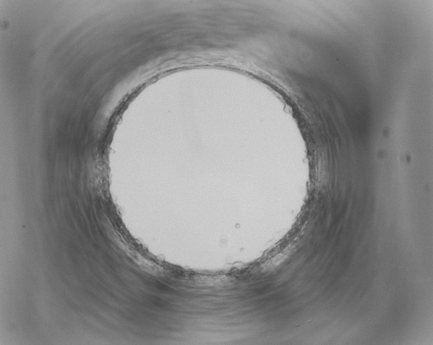 X0000069361498200606091548